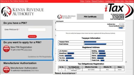How To Check Your KRA PIN In Kenya In 2026