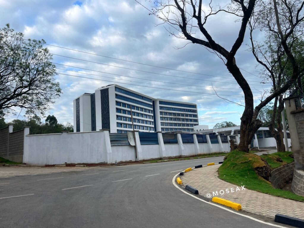 Photos of Governor Susan Kihika's Soon-to-be Launched Multi-million Hotel With Over 200 Luxurious as Gachagua Accuses Her of Embezzling County Funds