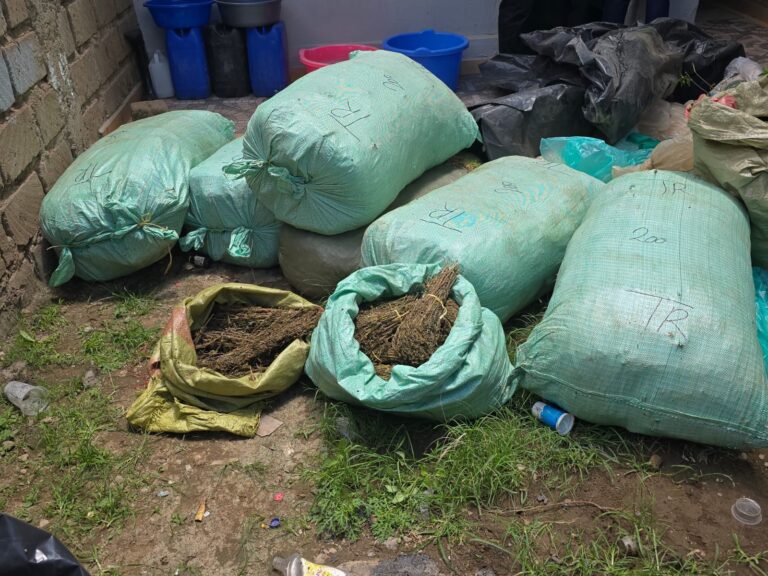 Detectives Uncover a Drug Den Within a Residential House in Njiiru, Nairobi- 30-Year-Old Drug Dealer Arrested (Photos)
