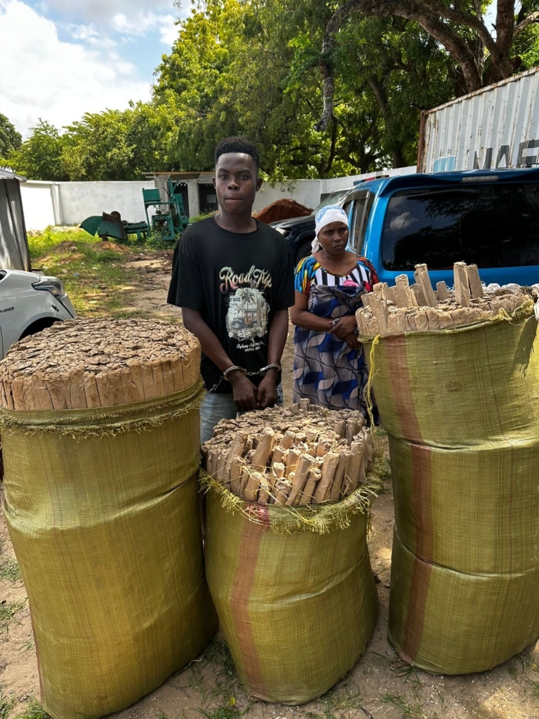 Detectives Raid a Residential House in Kilifi And Recover Bhang Worth Ksh 4.2 Million- A Gen Z Man is Among The Suspects Arrested(Photos)