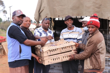 Government Donates 3,000 day-old Chicks in Ol Kalou as Gachagua Cries Foul Over Voter Bribery