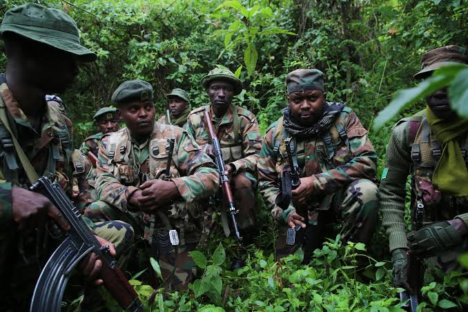 Man Shot Dead by KFS Officers After Breaking Into Armoury at Gatare Forest Station in Murang’a