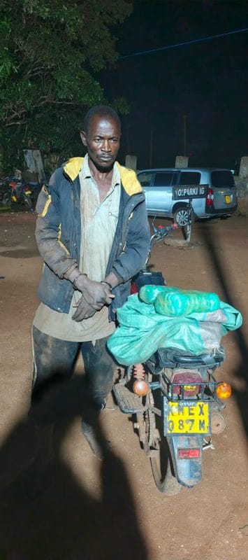 Detectives Uncover a Bhang Plantation Inside a Lavish Residential Property in Thindigua as War on Narcotics Continues(Photos)