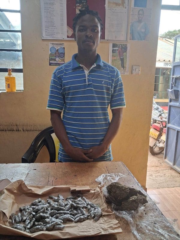 Detectives Uncover a Bhang Plantation Inside a Lavish Residential Property in Thindigua as War on Narcotics Continues(Photos)