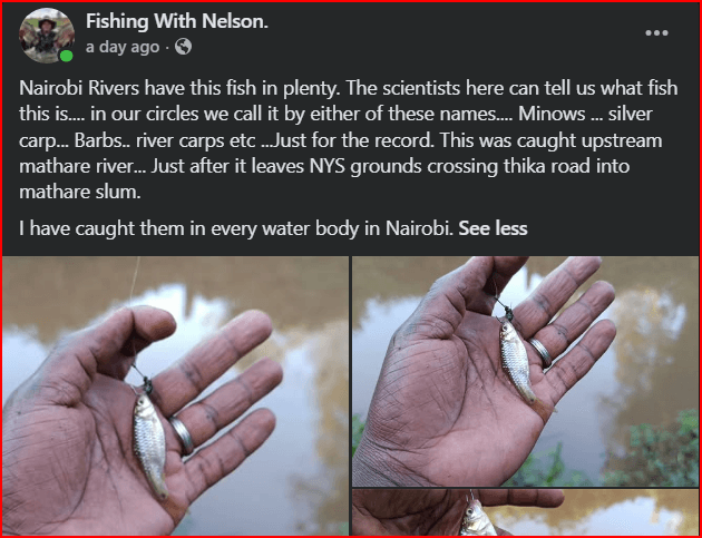 Man Catches Fish in Nairobi River 2 Years After Ruto’s Promise to Clean It Up and Start Fishing Project (Photos)