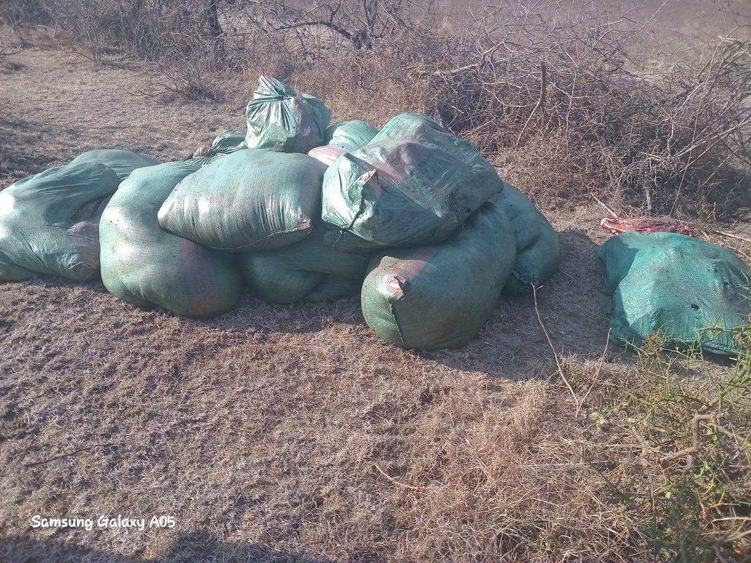 Mystery as 18 Bags of Suspected Donkey Are Dumped Along Tumbuni–Kwa Mbita Road in Makueni(Photos)
