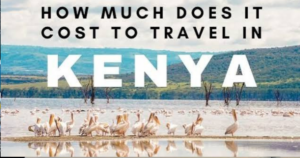 Planning a Trip to Kenya? The Ultimate Seasonal Budget & Cost Estimator