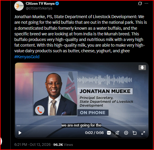 CityNews Kenya
