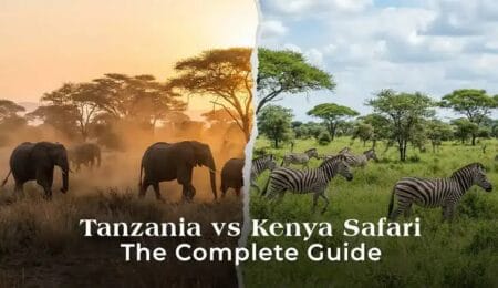 Kenya vs Tanzania Safari: Which Is Better for Your First Trip to Africa?